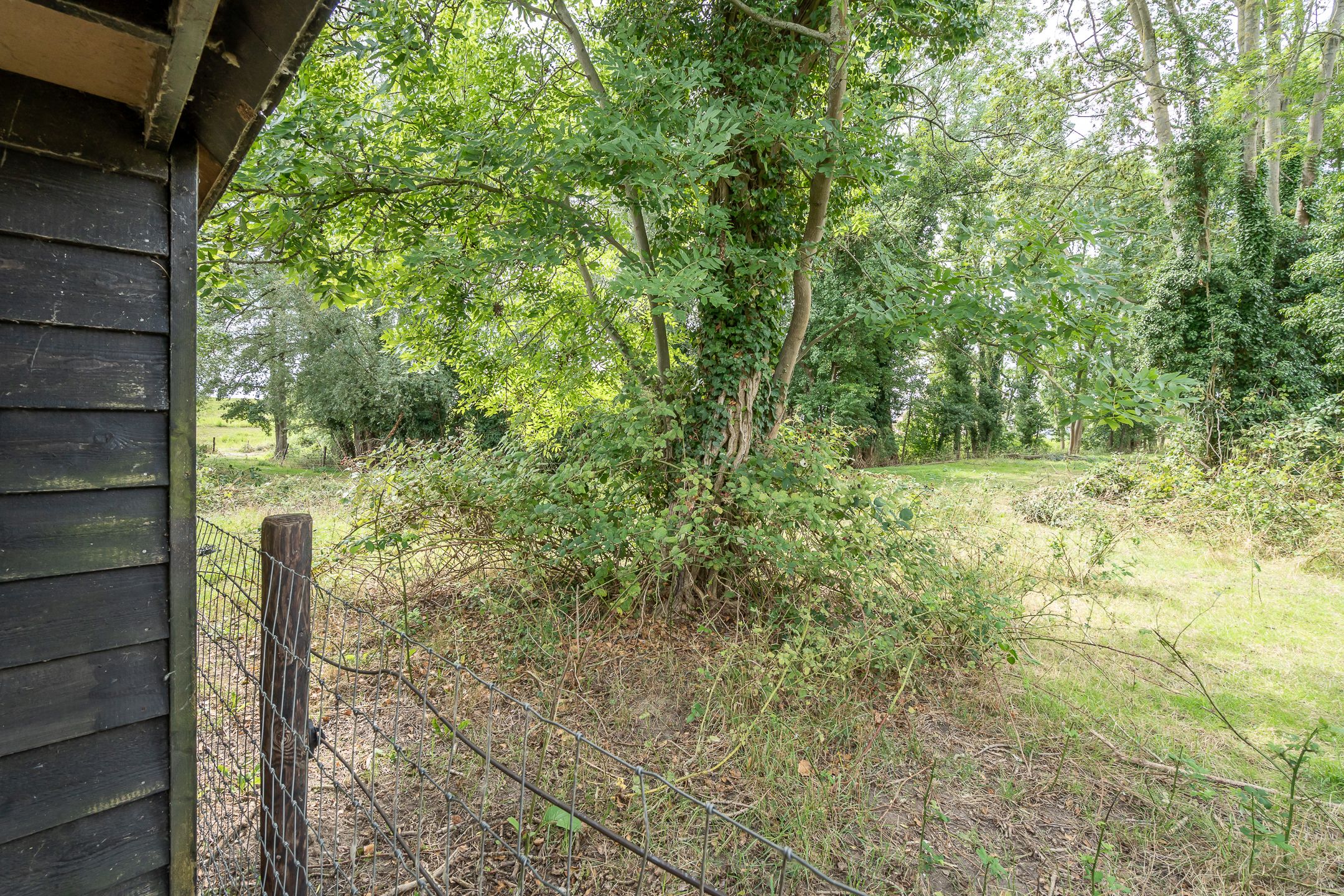 Foto 9 van Tuilseveldweg 21