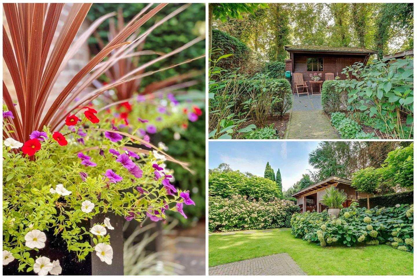 Foto 49 van Schothorsterlaan 98