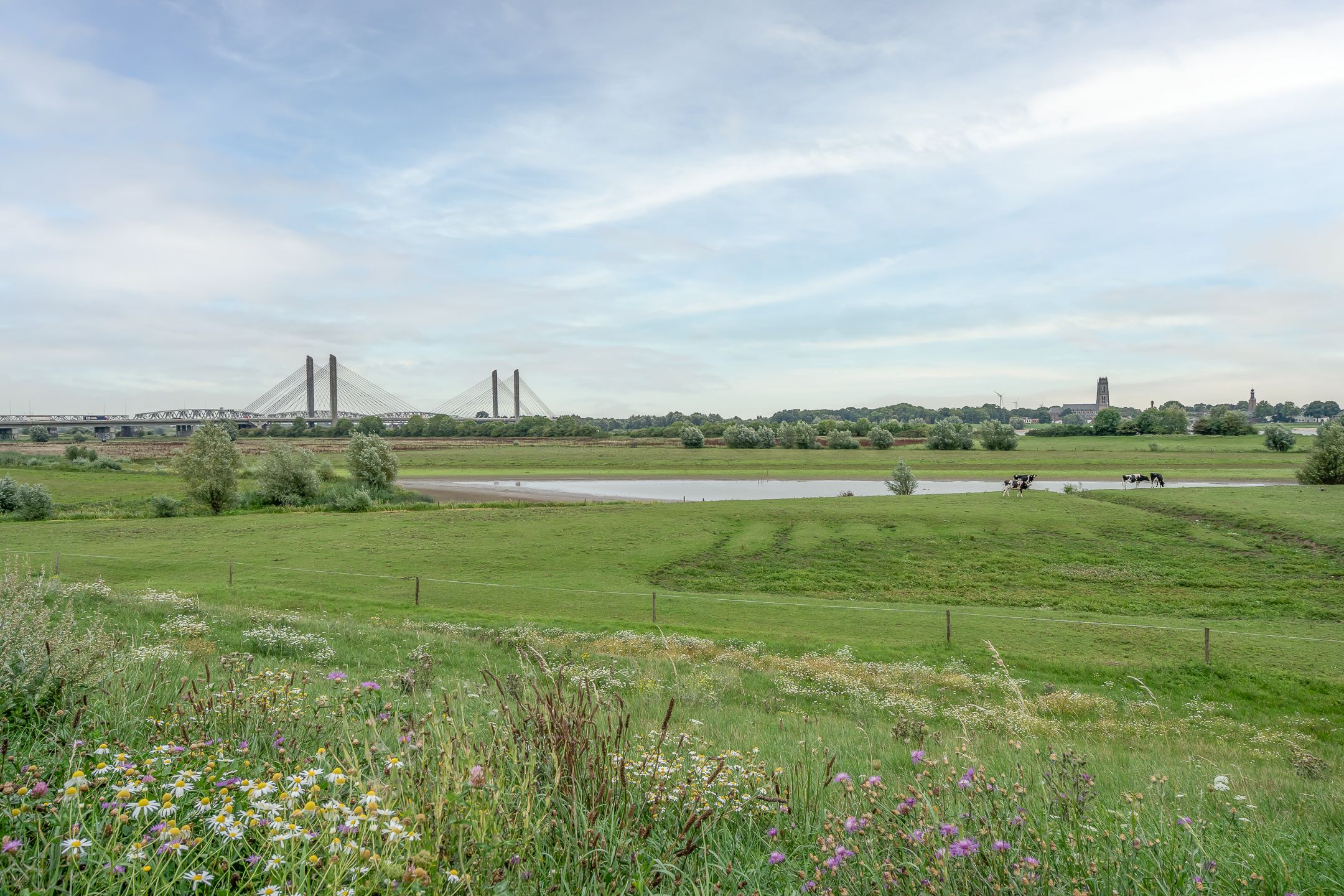 Foto 39 van Tuilseveldweg 21