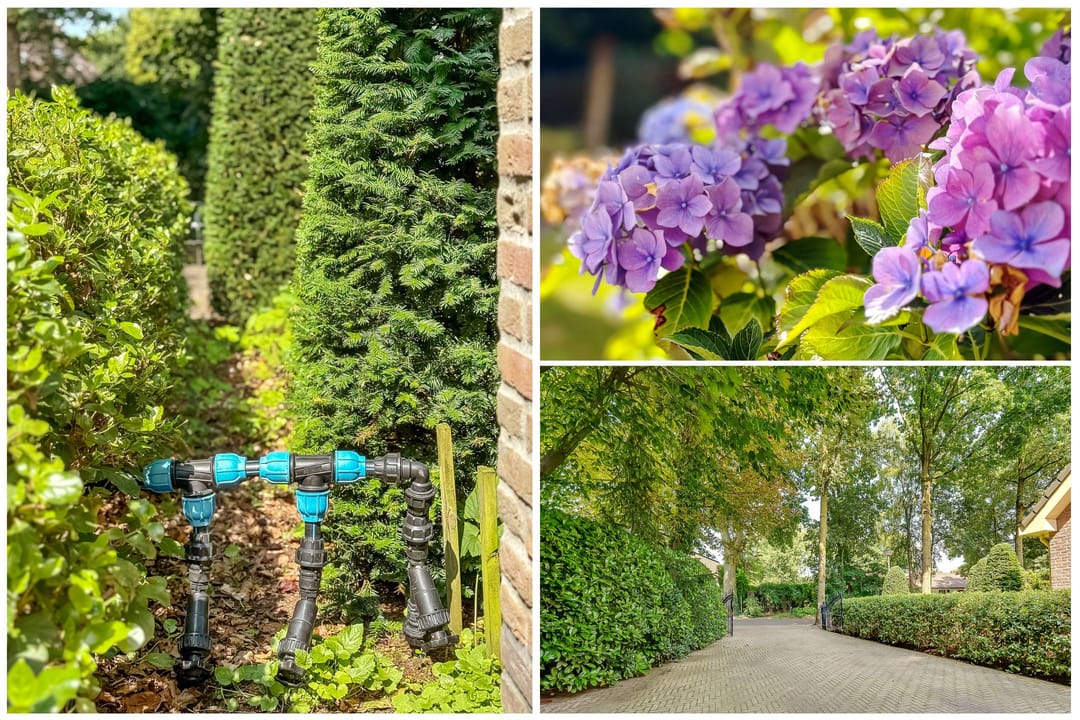 Foto 58 van Schothorsterlaan 98