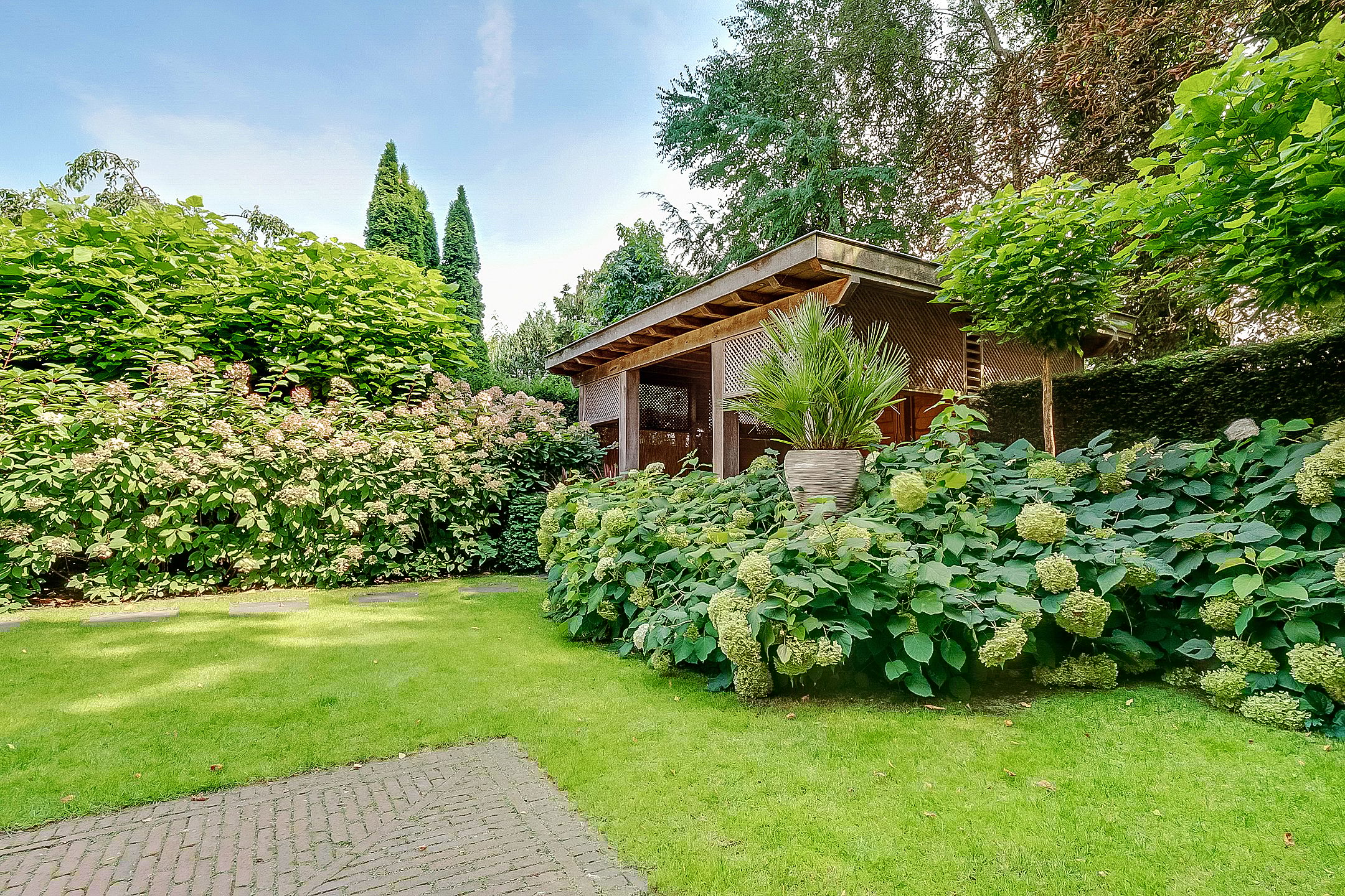 Foto 60 van Schothorsterlaan 98