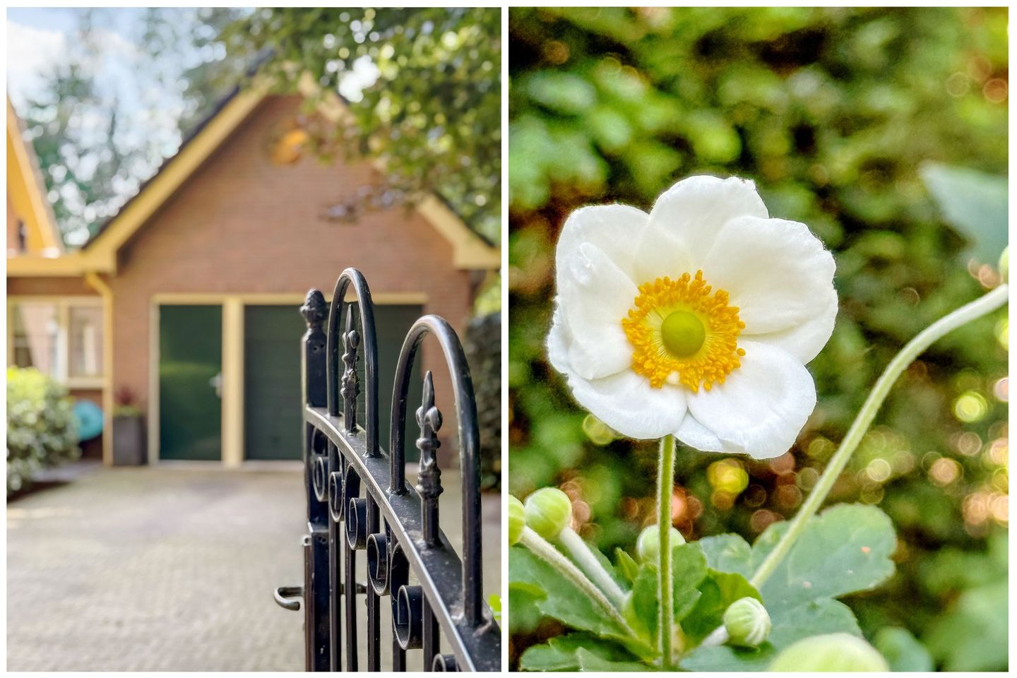 Foto 65 van Schothorsterlaan 98