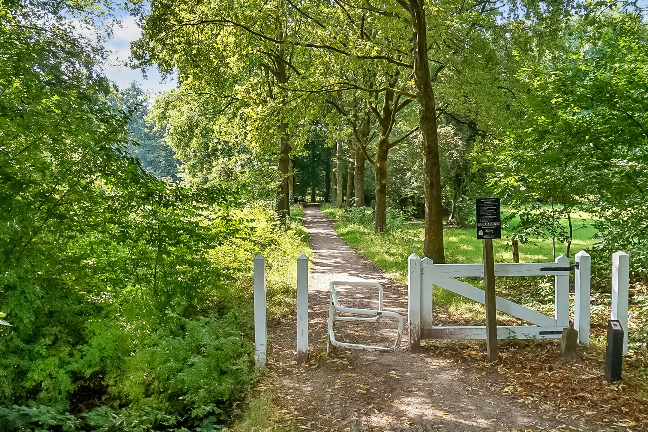 Foto 69 van Schothorsterlaan 98