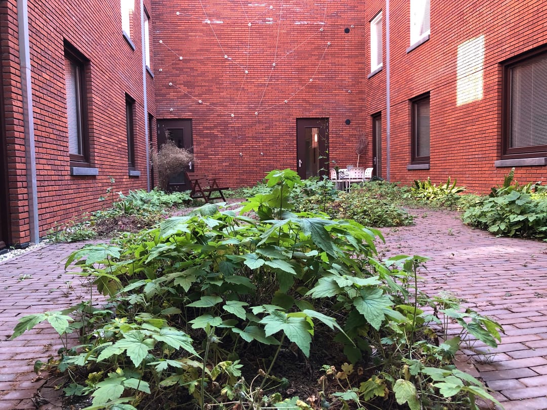 Photo 13 of Cornelis Vermuydenstraat 63