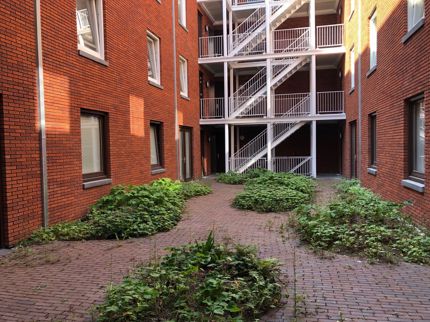 Photo 14 of Cornelis Vermuydenstraat 63