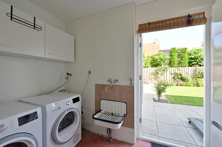 Foto 11 van Bonte Specht 12