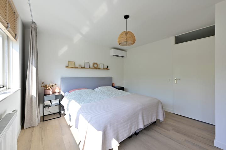 Foto 13 van Bonte Specht 12