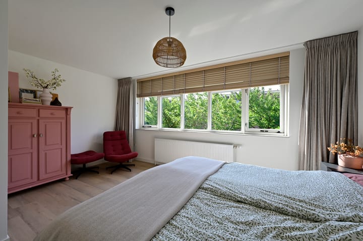 Foto 14 van Bonte Specht 12