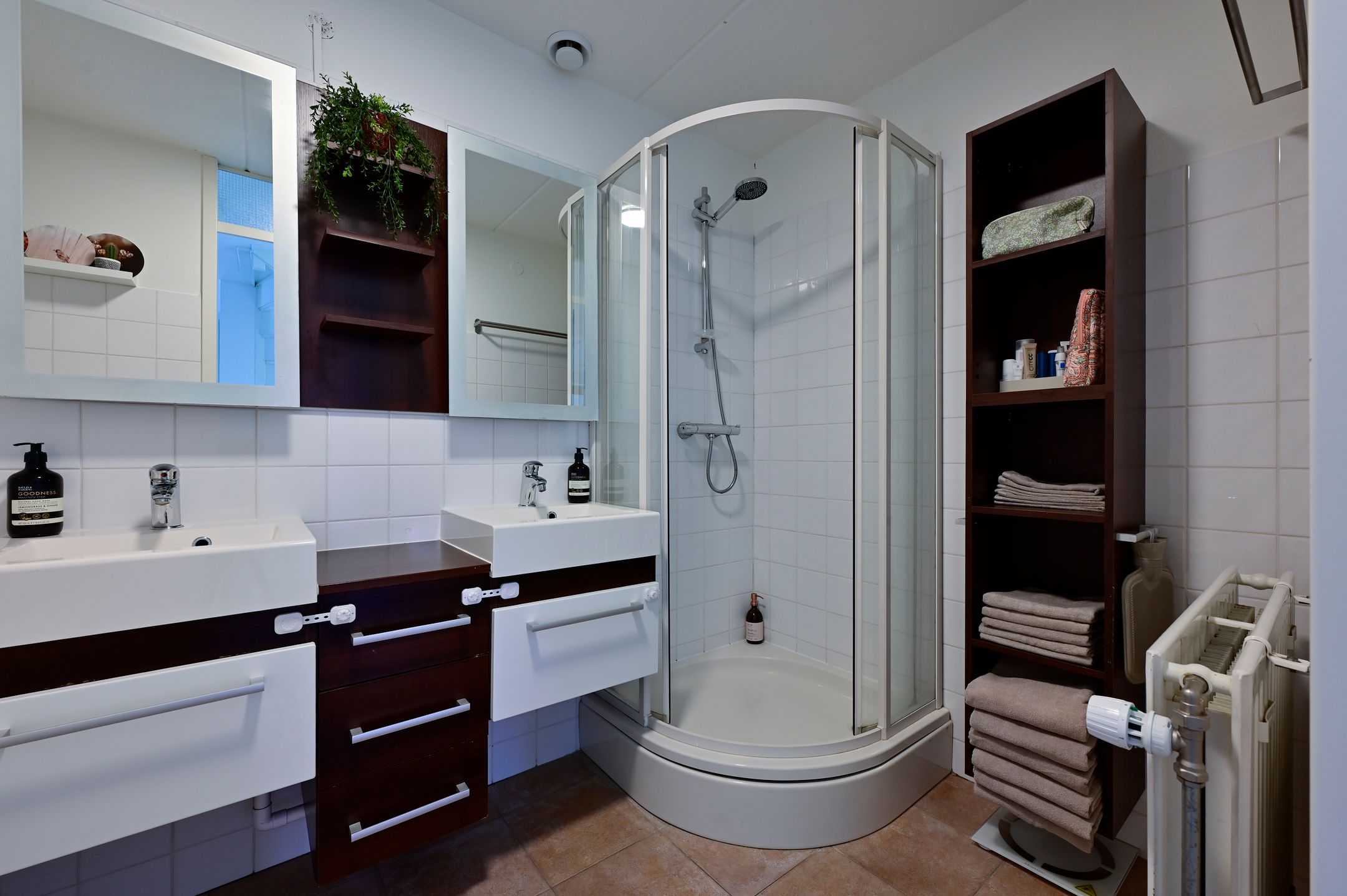 Foto 18 van Bonte Specht 12