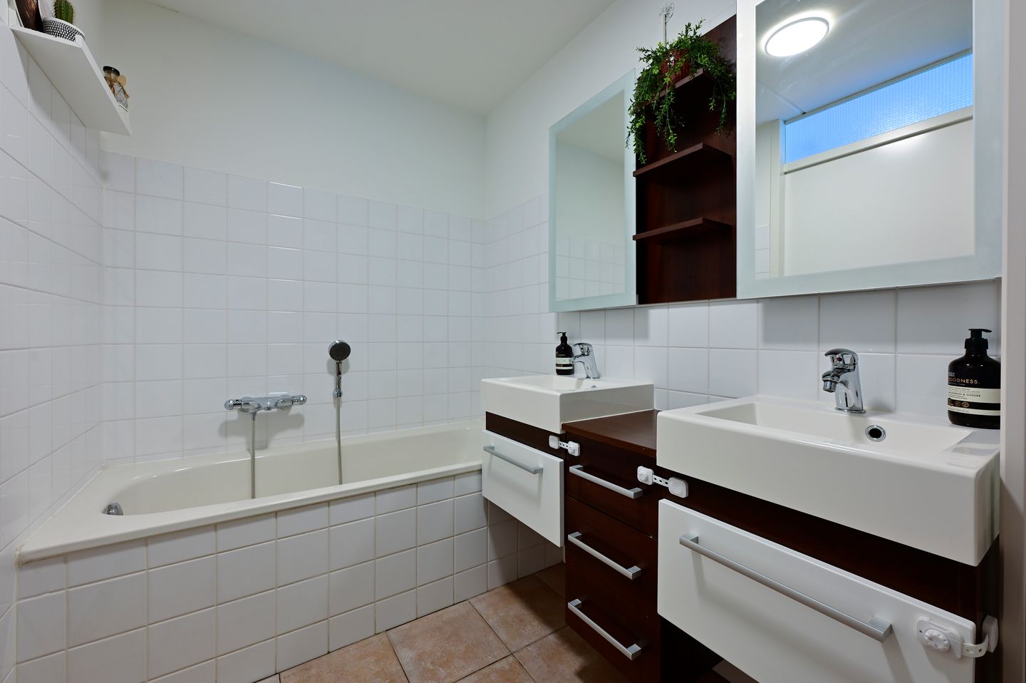 Foto 19 van Bonte Specht 12