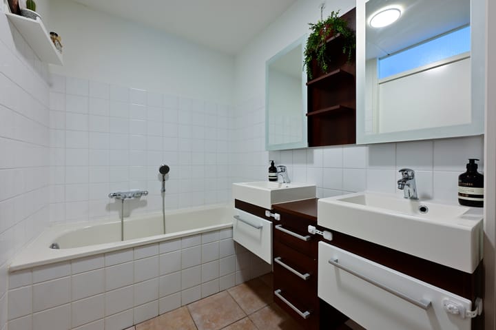 Foto 19 van Bonte Specht 12