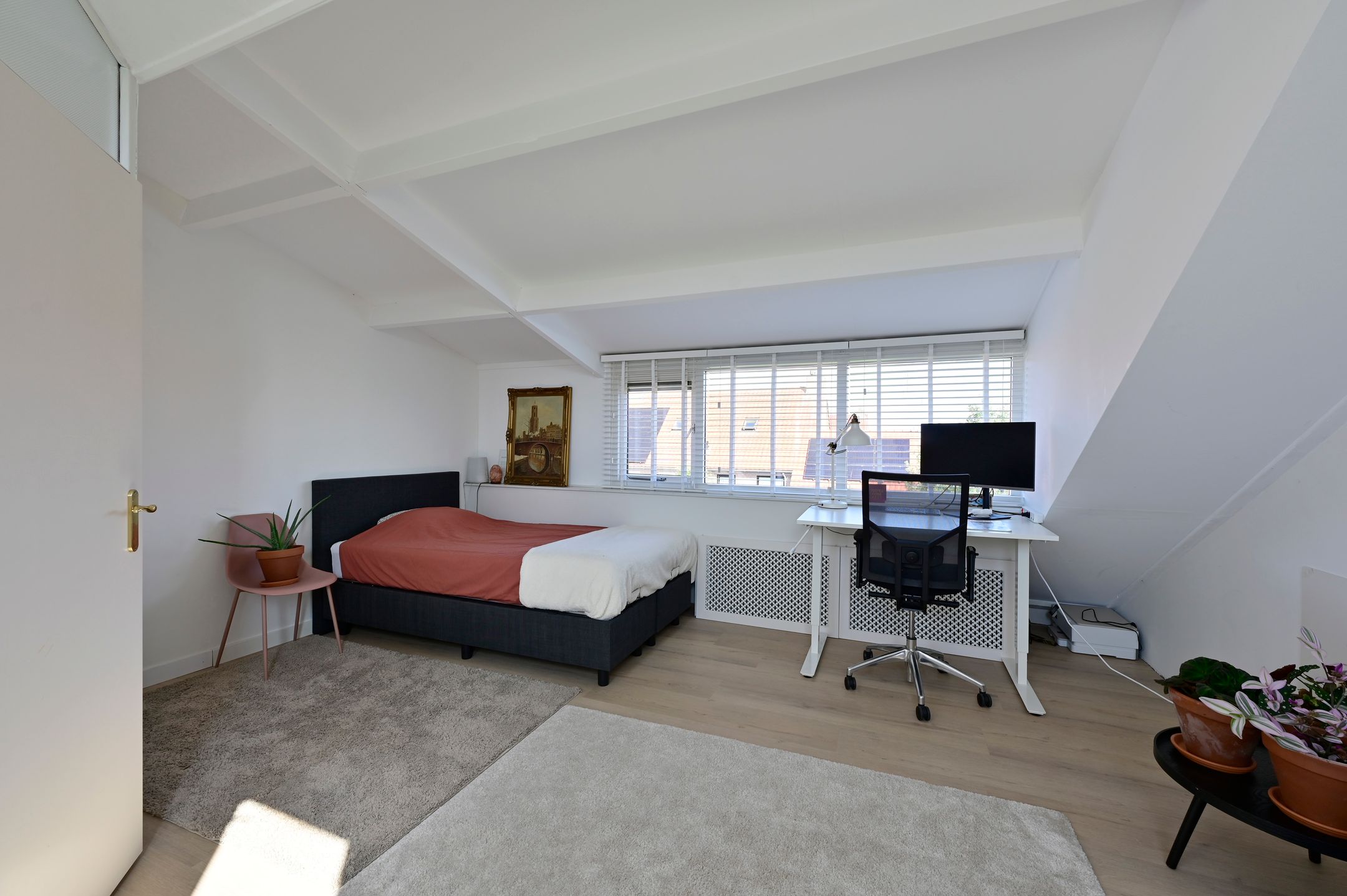 Foto 21 van Bonte Specht 12