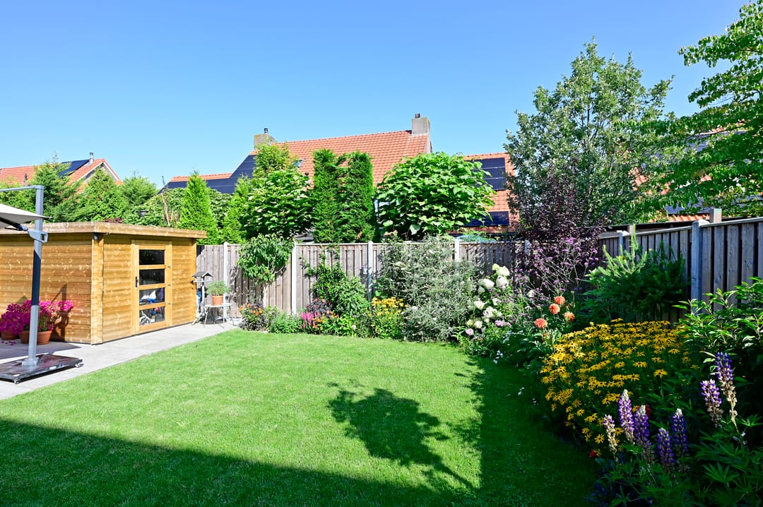 Foto 23 van Bonte Specht 12