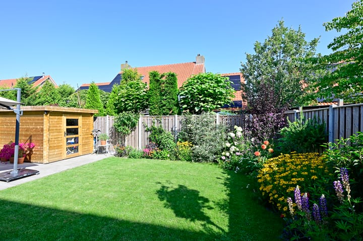 Foto 23 van Bonte Specht 12