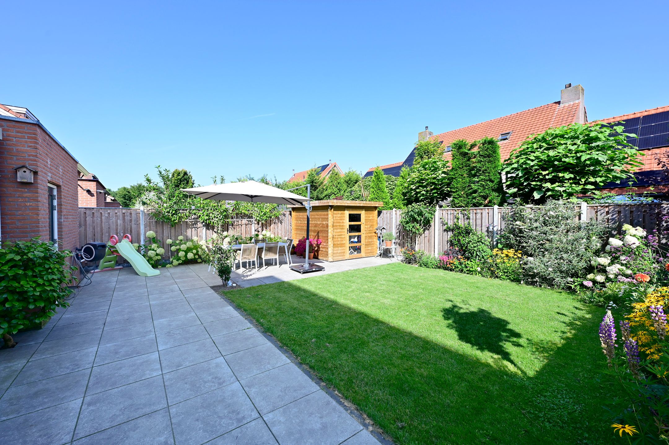 Foto 24 van Bonte Specht 12