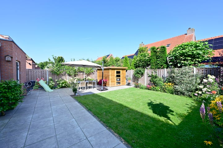 Foto 24 van Bonte Specht 12