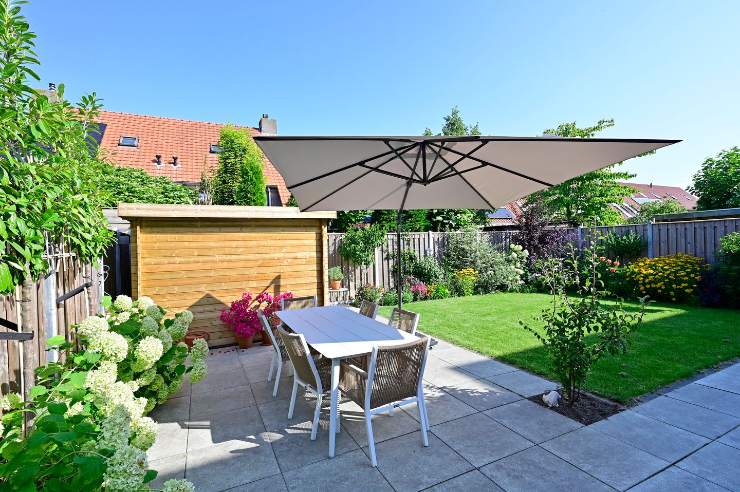 Foto 25 van Bonte Specht 12