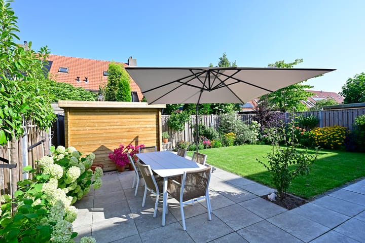 Foto 25 van Bonte Specht 12