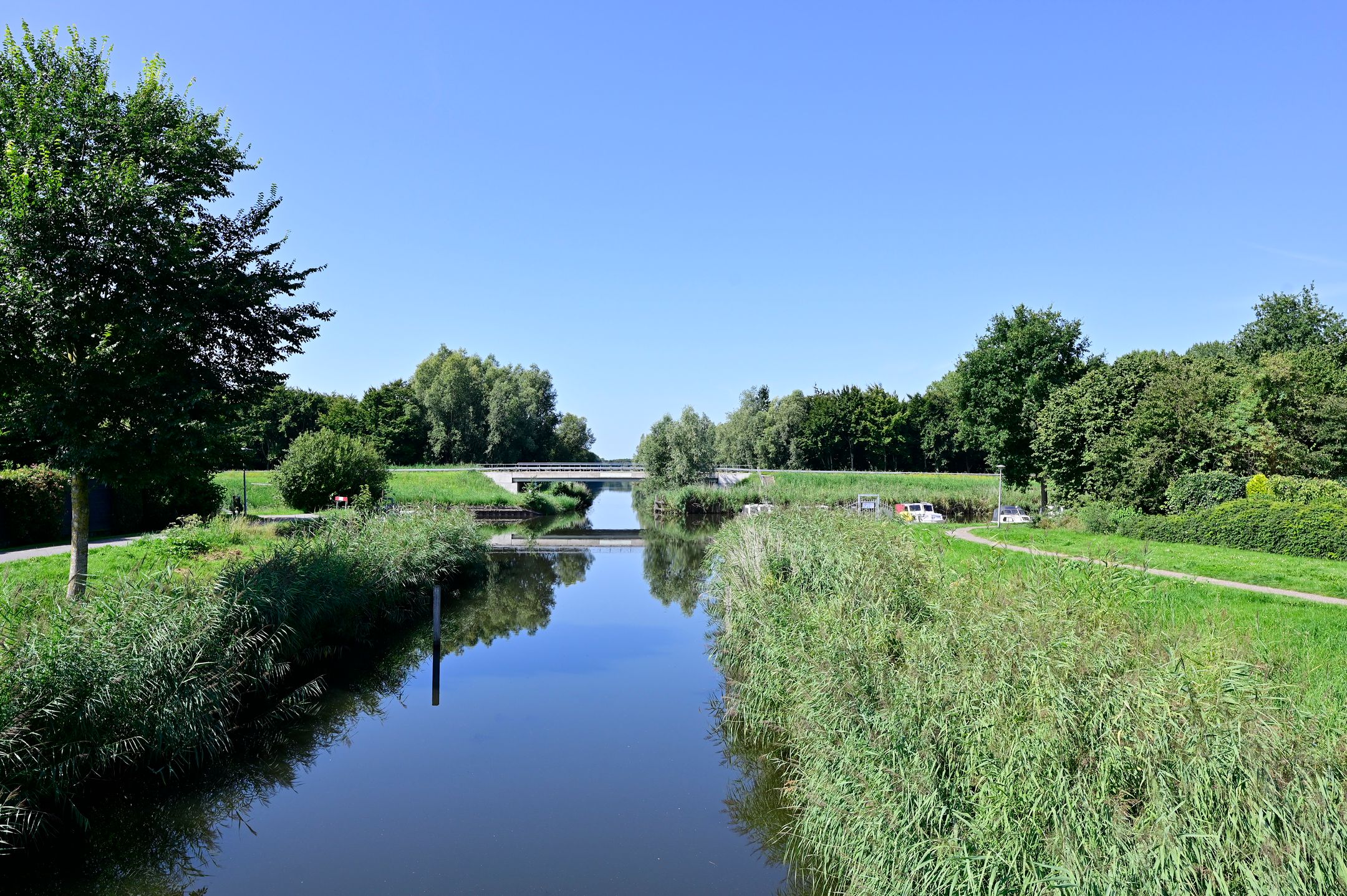 Foto 27 van Bonte Specht 12