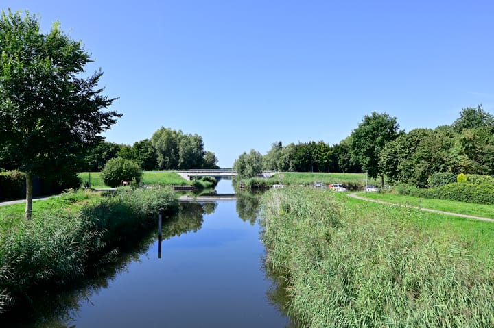 Foto 27 van Bonte Specht 12