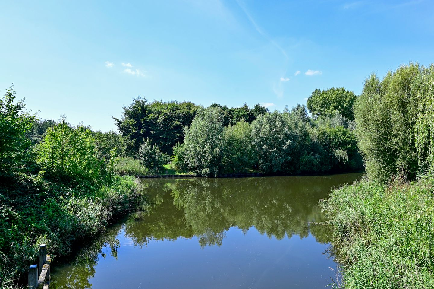 Foto 29 van Bonte Specht 12