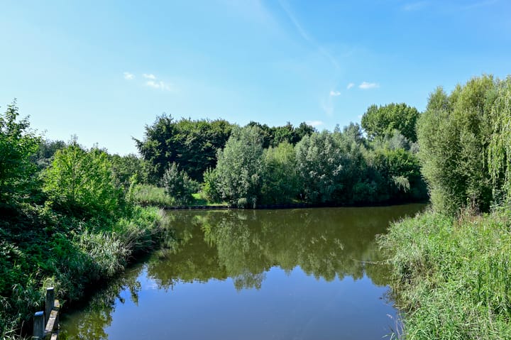 Foto 29 van Bonte Specht 12