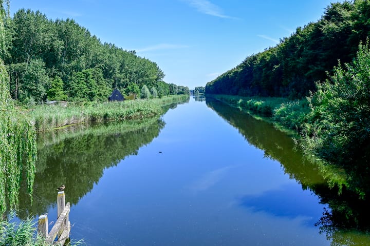 Foto 30 van Bonte Specht 12