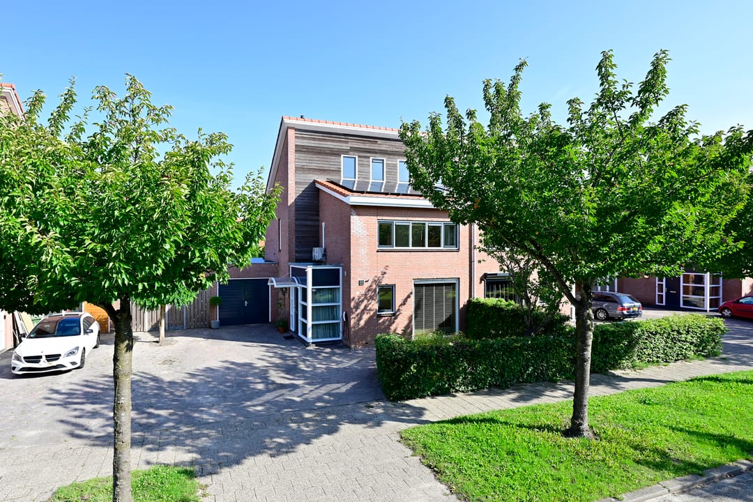 Foto 31 van Bonte Specht 12