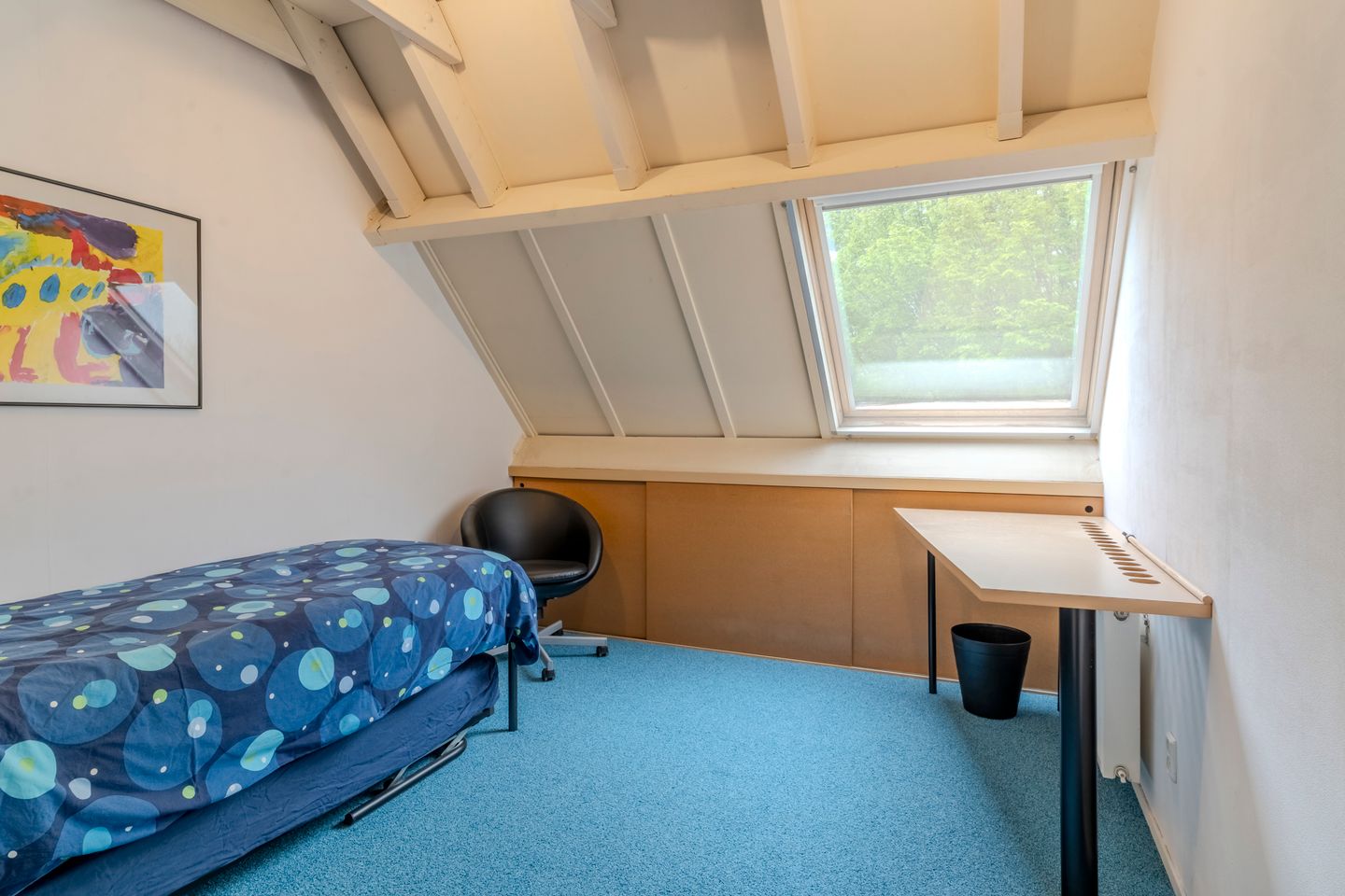 Foto 50 van Albert Schweitzerlaan 6