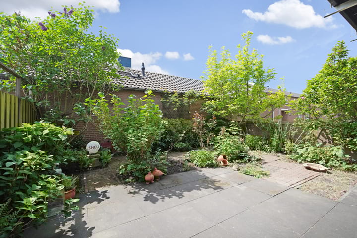 Foto 6 van Karwijakker 1