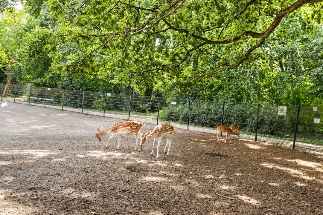 Photo 56 of Sweder van Zuylenweg 37