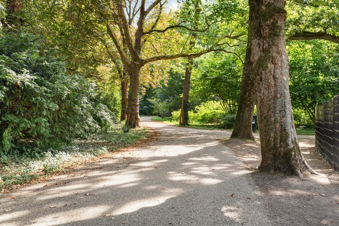 Photo 58 of Sweder van Zuylenweg 37