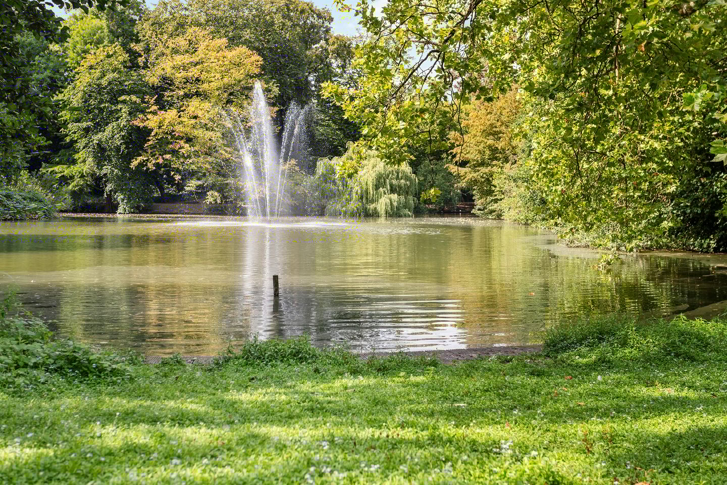 Photo 59 of Sweder van Zuylenweg 37