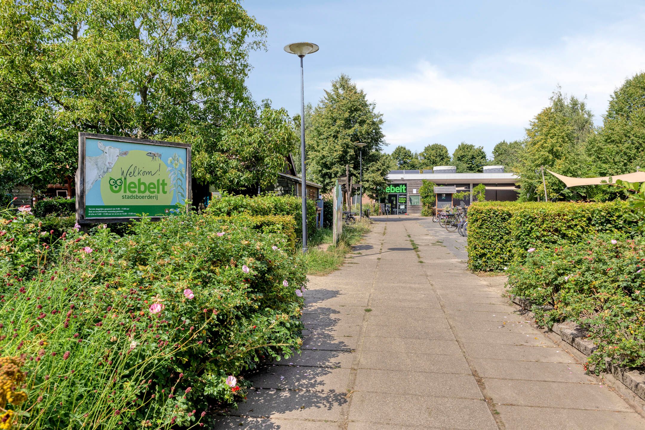 Foto 33 van Van Ravesteynpad 41