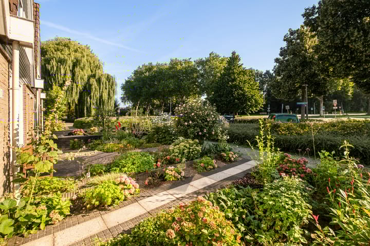 Foto 2 van Grevelingen 1