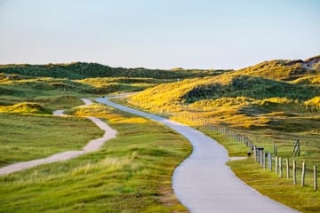 Foto 45 van Soestdijk 3