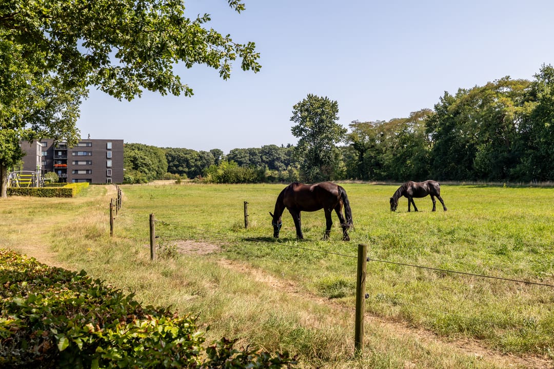 Foto 38 van Lange Akker 127