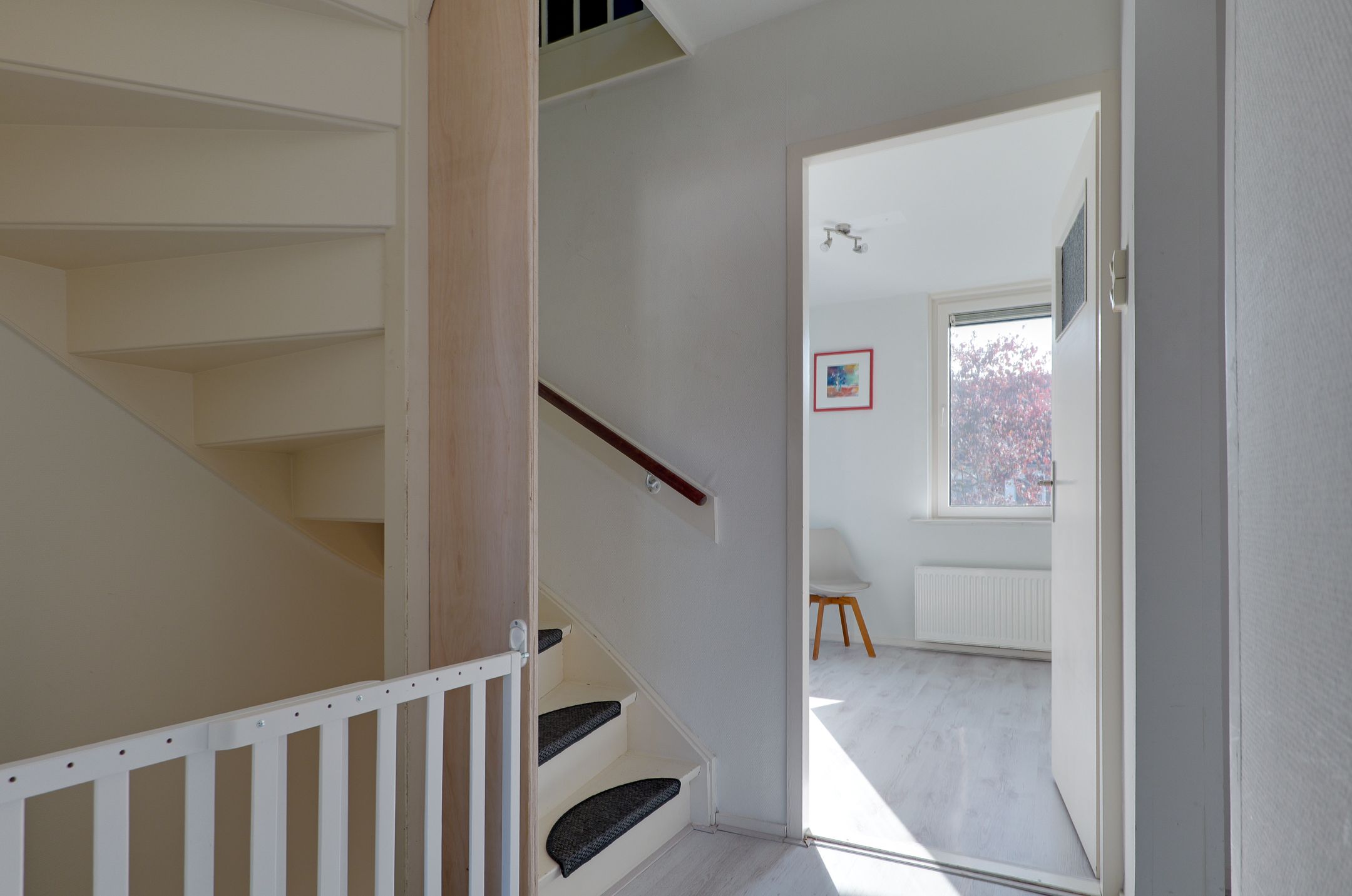 Foto 27 van Dievelings 5