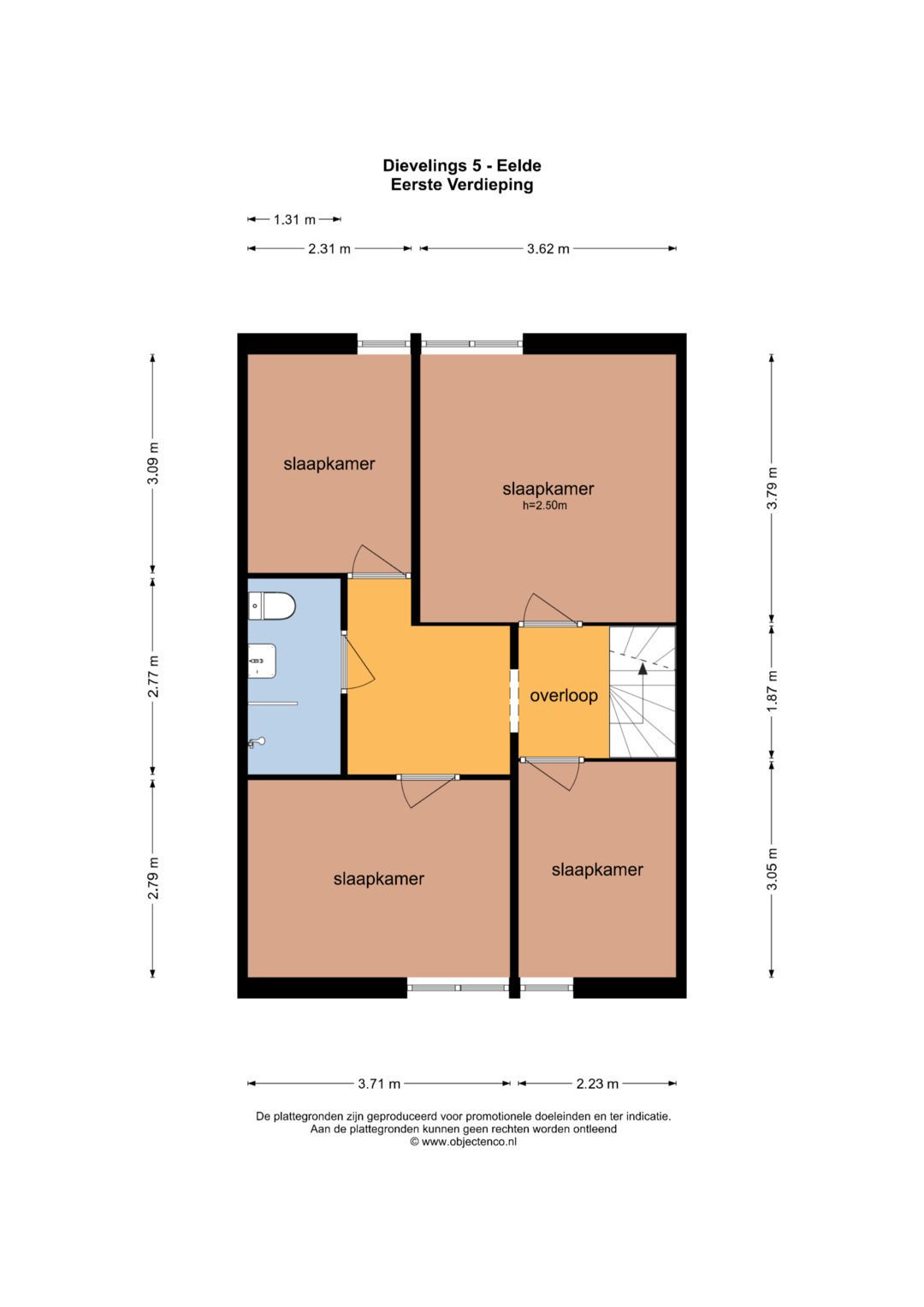 Foto 56 van Dievelings 5