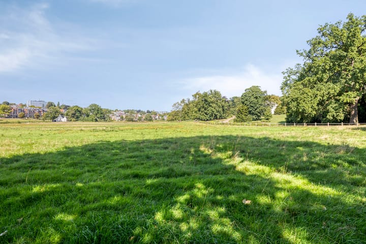 Photo 35 of Nijhoffstraat 151