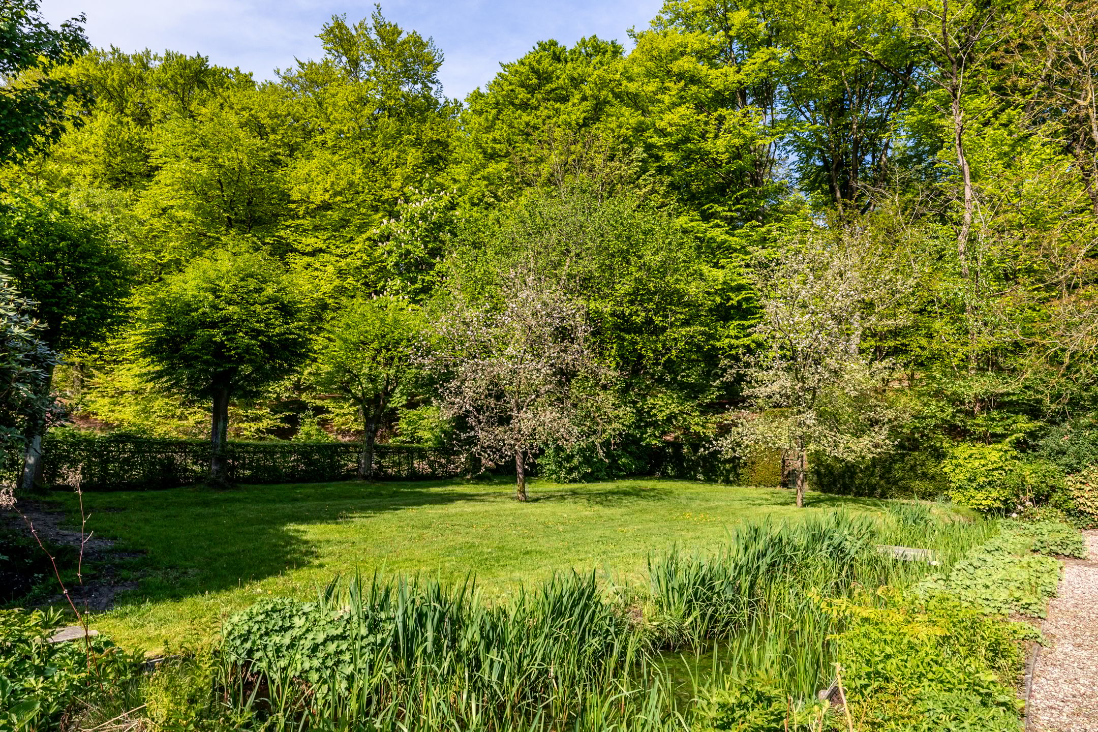 Foto 48 van Rosendaalselaan 11