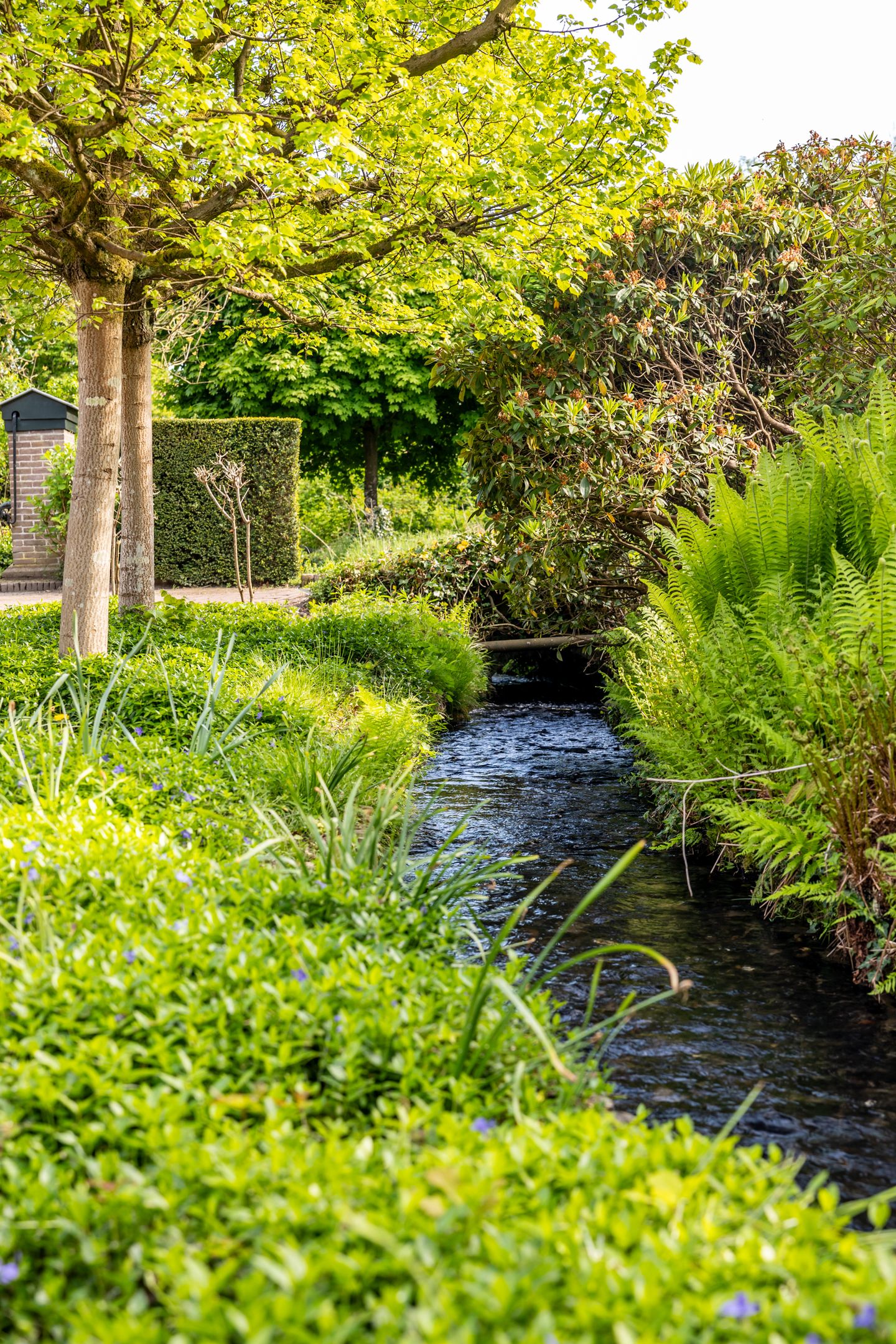 Foto 50 van Rosendaalselaan 11