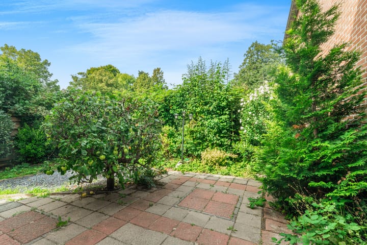 Foto 3 van Zandkreek 56