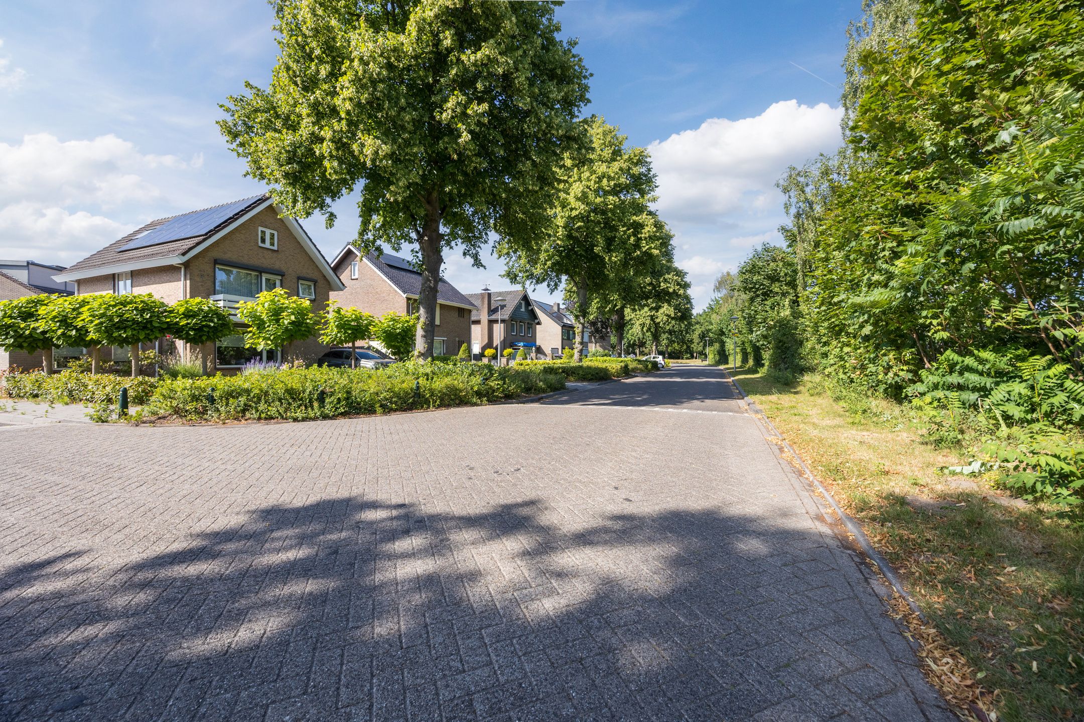 Foto 60 van Seringenlaan 106