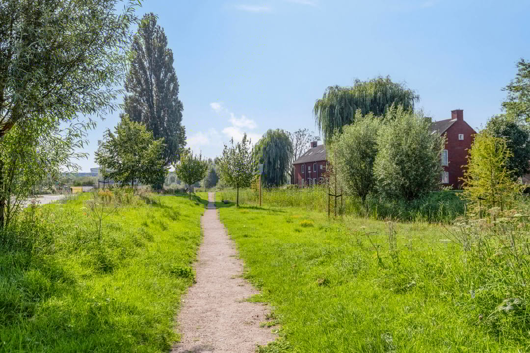 Foto 26 van Bereklauwstraat 33