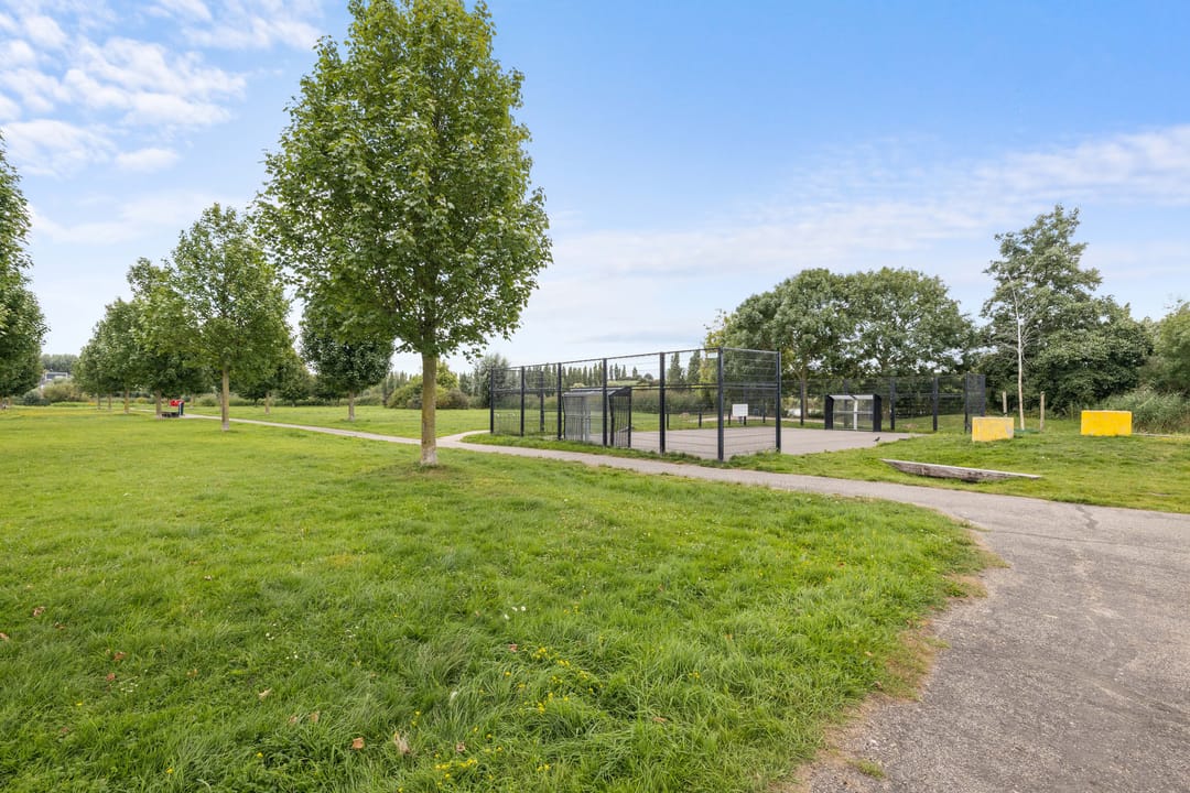 Photo 56 of Kladdewortel 6