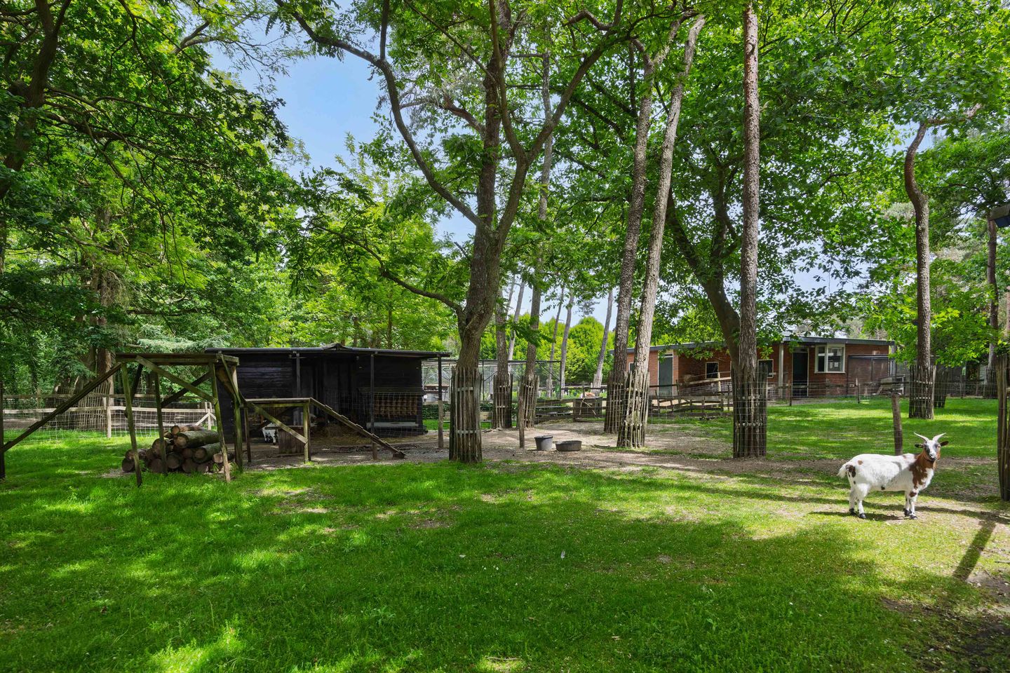 Foto 50 van Mariastraat 7