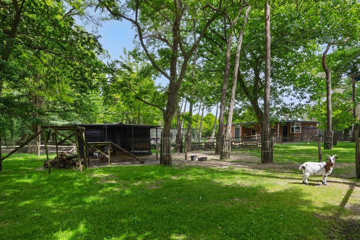 Foto 50 van Mariastraat 7