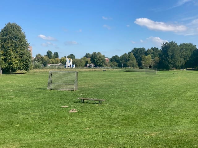 Foto 55 van Goereestraat 10