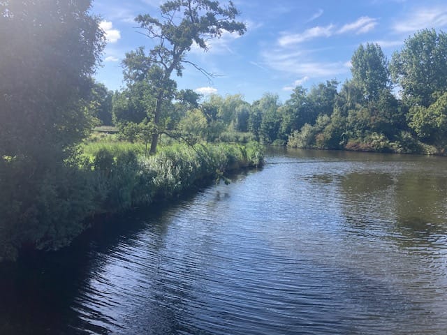 Foto 59 van Goereestraat 10